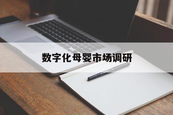 毕节市数字化母婴市场调研(数字化母婴市场调研报告)